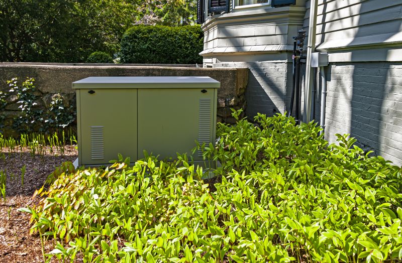 Residential Generator in a Backyard